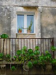 DSCN2435