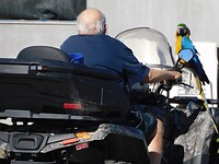 Vreemde vogels op de camperplaats…..