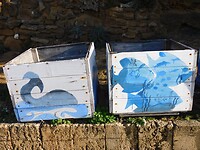 DSCN2685