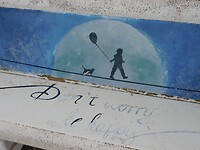 DSCN2736