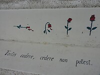 DSCN2750