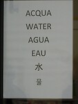 DSCN2890