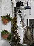 DSCN2929