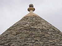 DSCN2950