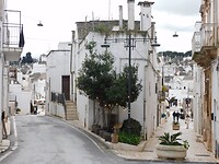 DSCN2972