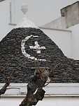 DSCN2977