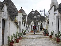 DSCN3003