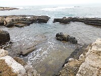 DSCN3063
