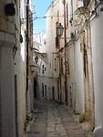 DSCN3134