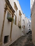 DSCN3138