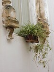 DSCN3139