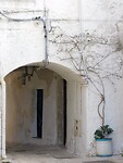 DSCN3147