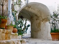 DSCN3150