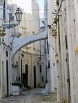 DSCN3151