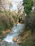 DSCN3184
