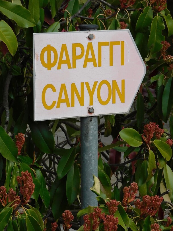 DSCN3297