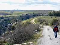 DSCN3326