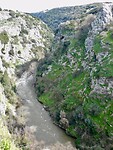 DSCN3327