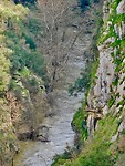 DSCN3330