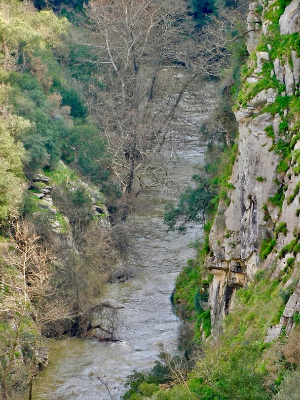 DSCN3330