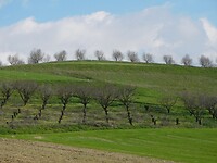 DSCN3362
