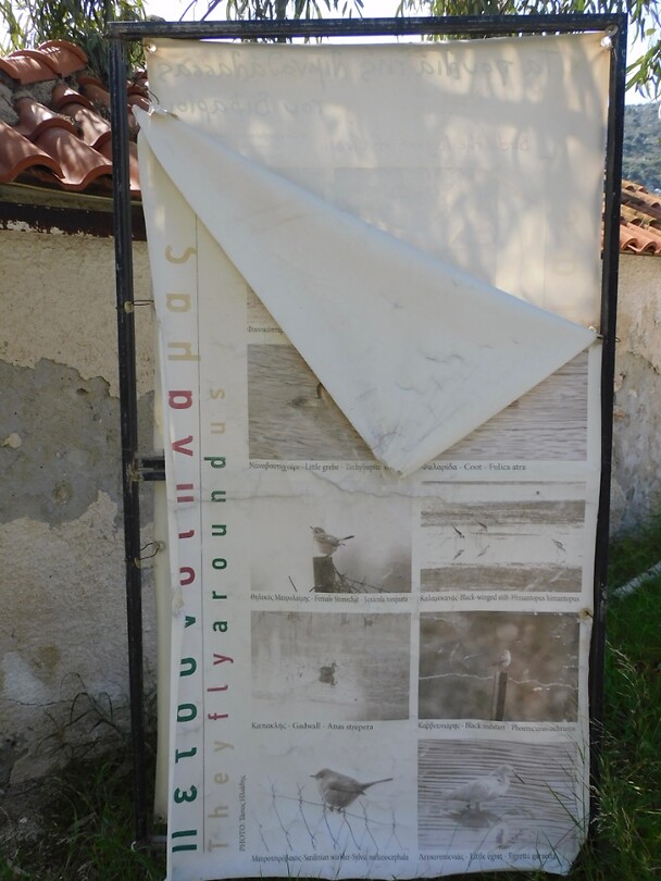 DSCN3937