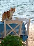 DSCN3949