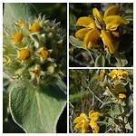 7E74BCAF-2BEE-48CD-935B-46303B3A7012-COLLAGE