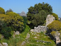 DSCN4009