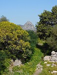 DSCN4010