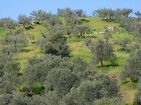 DSCN4104