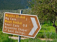 DSCN4113