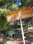 DSCN4120