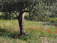 DSCN4098