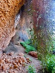 DSCN4148