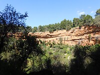 DSCN4150