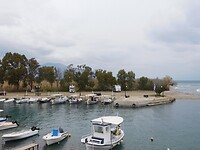 DSCN4401