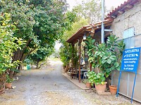 DSCN4419