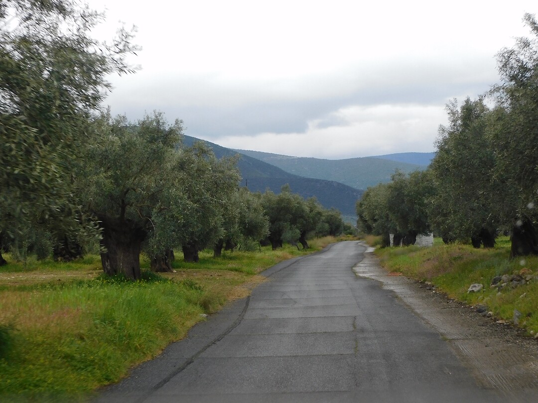 Vertrek uit Paralia Agios Andreas….