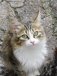 DSCN4472