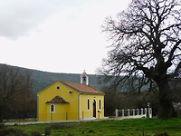 DSCN4493