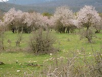 DSCN4494
