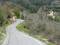 RSCN4539