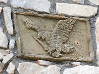 DSCN4571