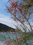 DSCN4648