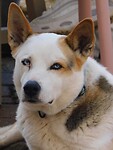 DSCN4675