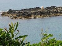 Het ei….op het eilandje Pefnos, Agios Dimitrios.