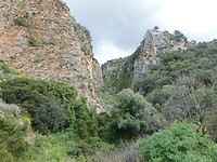 DSCN4696