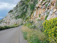 DSCN4731