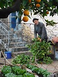 Kardamyli…..